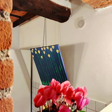 公寓 Claudia's La 佩夏